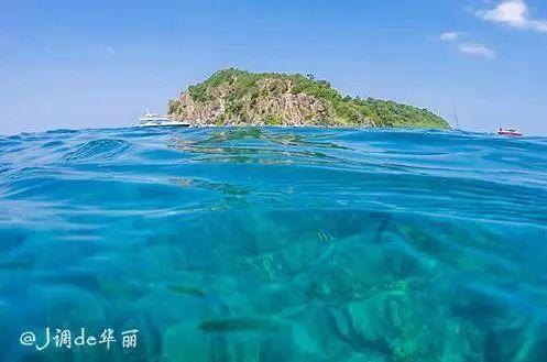 哦莫莫！谁没有看这季《花少》我都会伤心的！